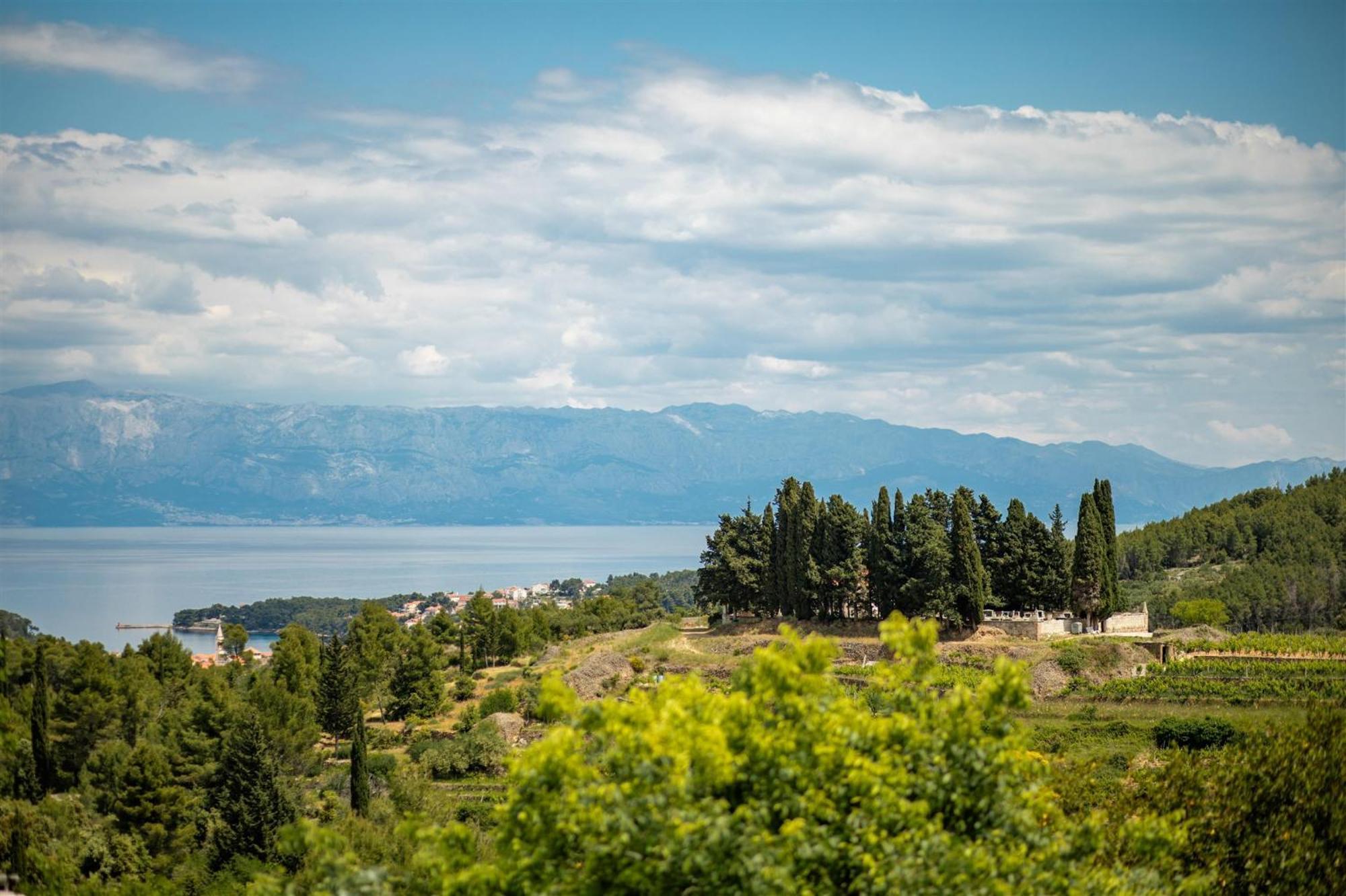 Dvor Pitve Villas Елса Номер фото